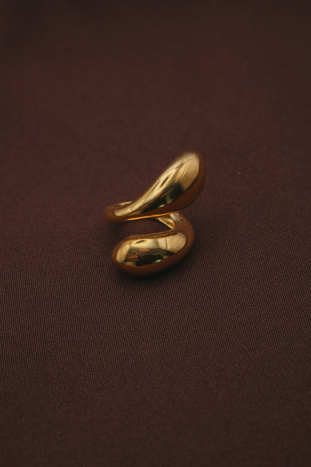 Anillo Descaro