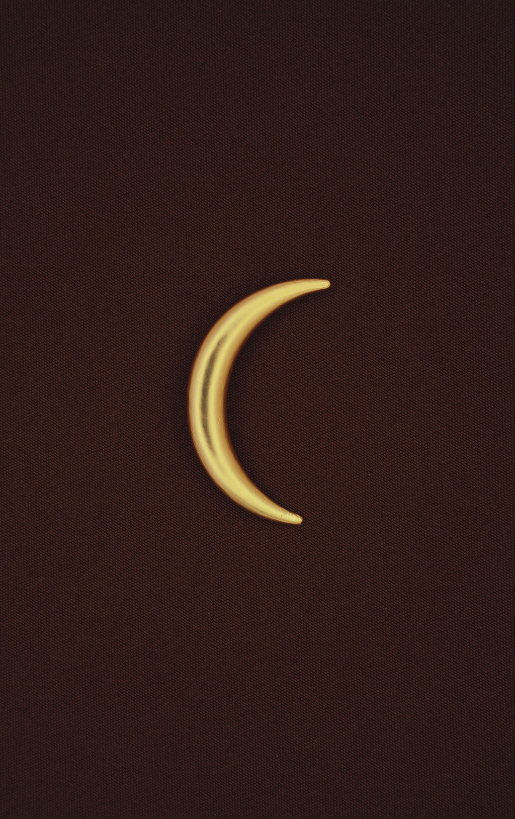 Broche Enamorada de la Luna
