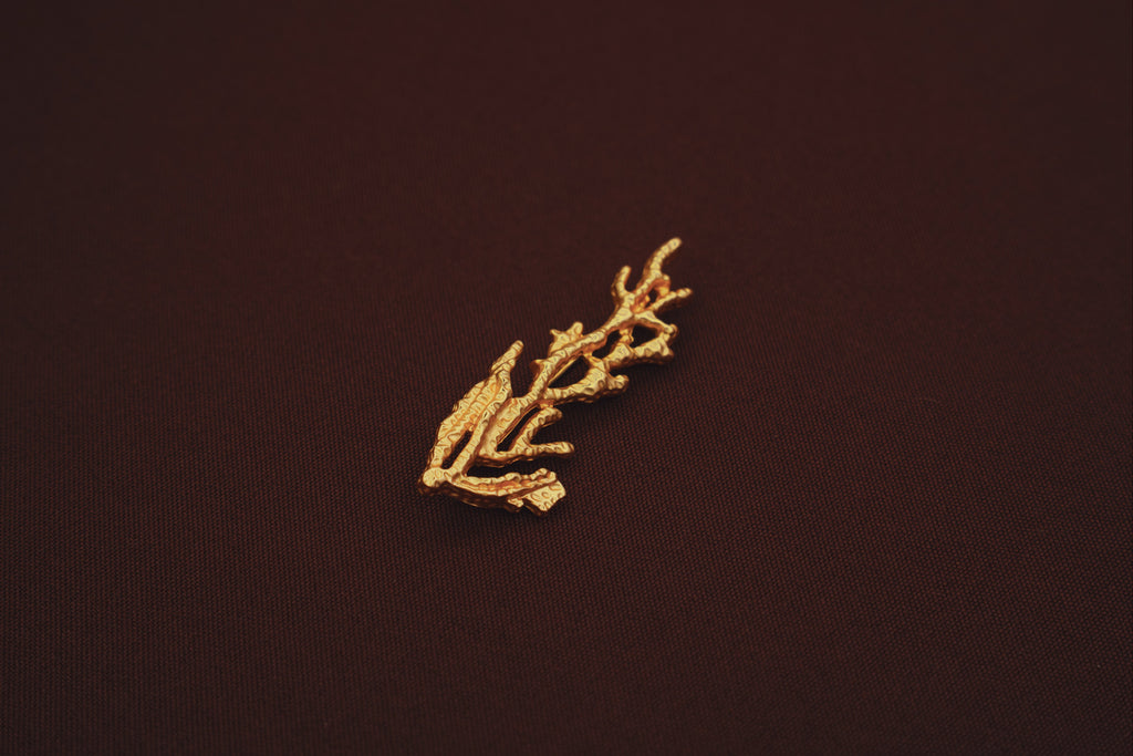 Broche La de Coral